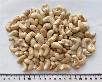 Cashew Nut DW