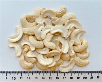 Cashew Nut WS