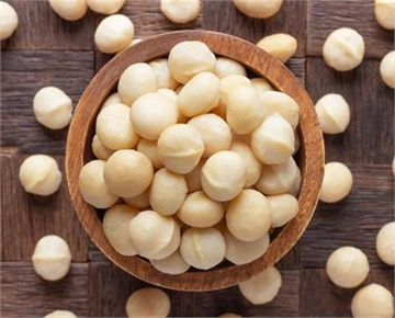 Macadamia