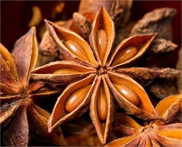 Star Anise