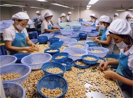 Binh Phuoc cashew capital and 